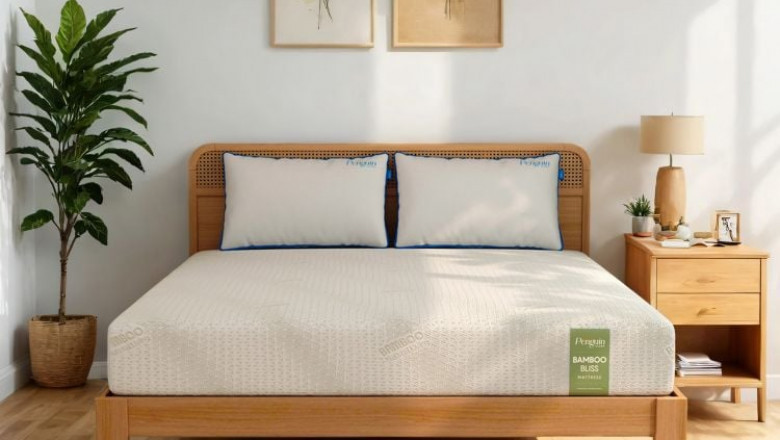 How to Choose the Best Queen Size Mattress for Your Sleep Needs