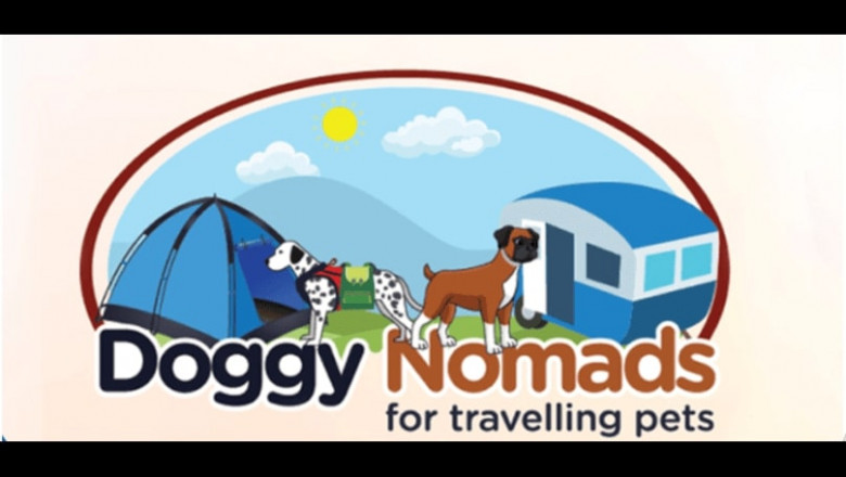 Why Insured Pet Sitting Services Matter – Trust Doggynomads to Care for Your Pet Like Family
