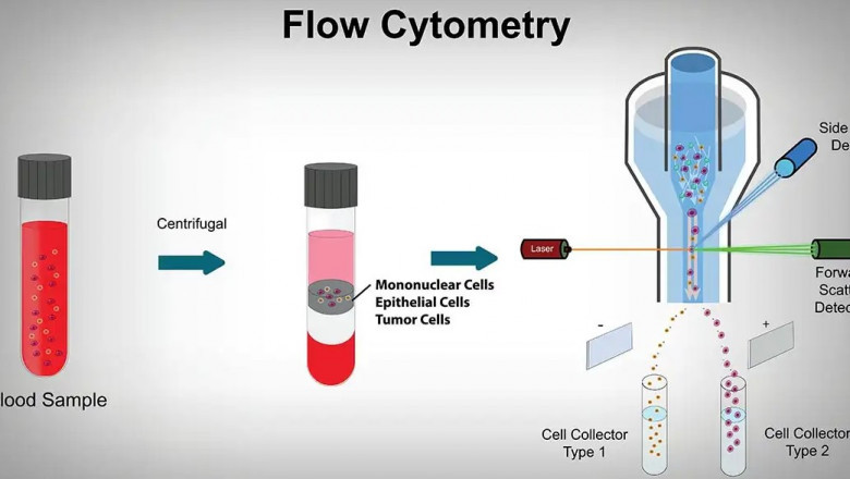 France Flow Cytometry Market Companies: Growth, Share, Value, Size, and Insights