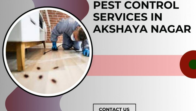 Pest Control Services in Akshaya Nagar | Safe & Effective Solutions