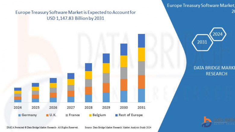 Europe Treasury Software Market Analysis: Growth Drivers, Challenges, and Future Outlook