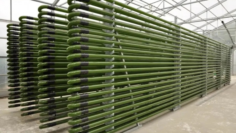 Algae Based Biofuel Manufacturing Plant Cost 2025: Machinery and Raw Materials Requirement