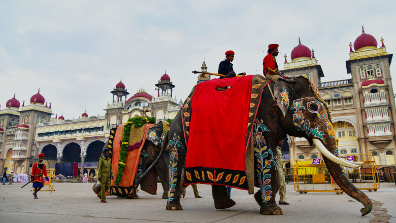 Discovering the Royal Charm of Mysore Palace