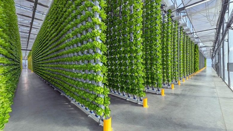 Europe Indoor Farming Market Size, Share and Growth 2025-2033
