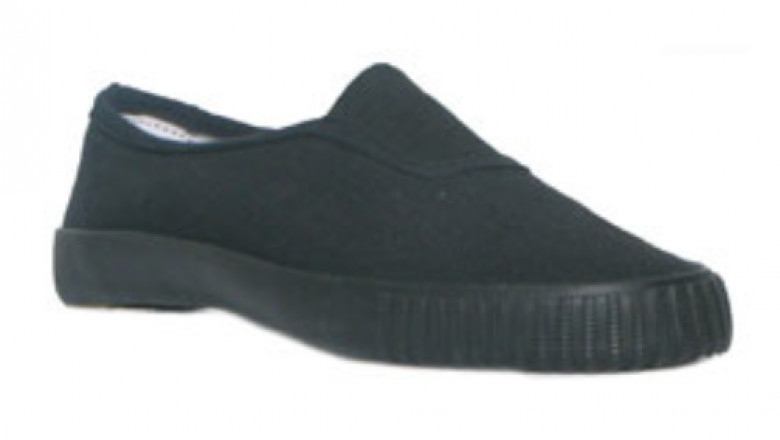 Step Into Comfort and Confidence with Sandshoes