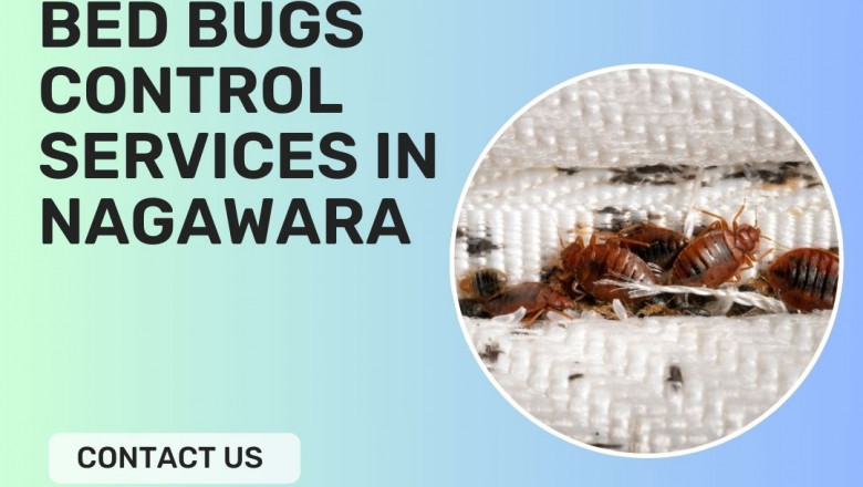 Bed Bugs Control Services in Nagawara | Guaranteed Results