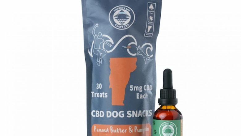 CBD for Pets: A Game-Changer for Your Pet’s Wellness