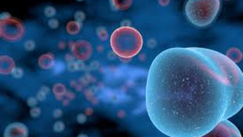 Advancements in Mantle Cell Lymphoma Treatment: Promising Therapies and Improved Patient Outcomes