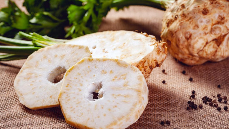 Celeriac Processing Plant Cost- Detailed Project Report and Comprehensive Business Plan