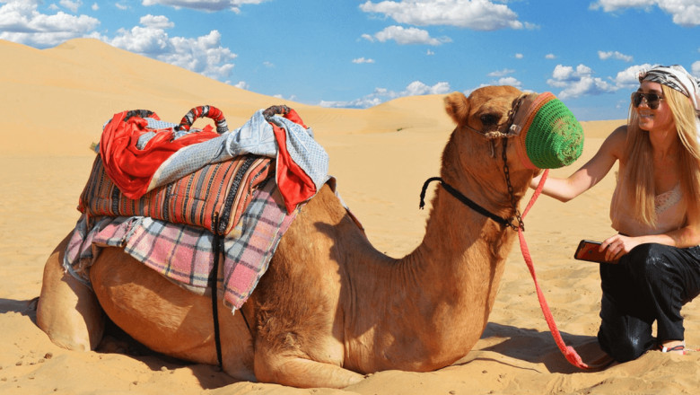 Explore the Magic of Desert Safari Abu Dhabi – A Journey to Remember