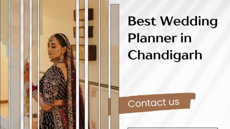 How to Choose the Right Wedding Planner for Your Dream Day