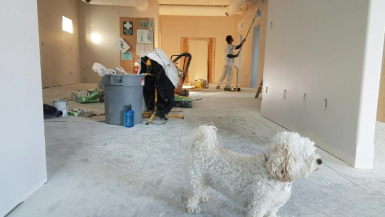 Post-Renovation Clean-Up: What to Do with Construction Debris