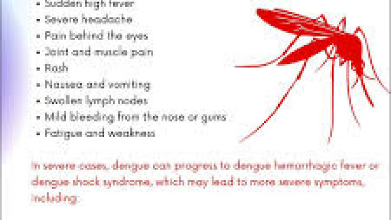 The Dengue Fever Survival Guide: Symptoms, Treatment, and Prevention