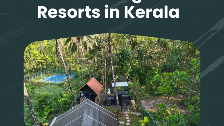 Who is the Best Jungle Resorts in Kerala