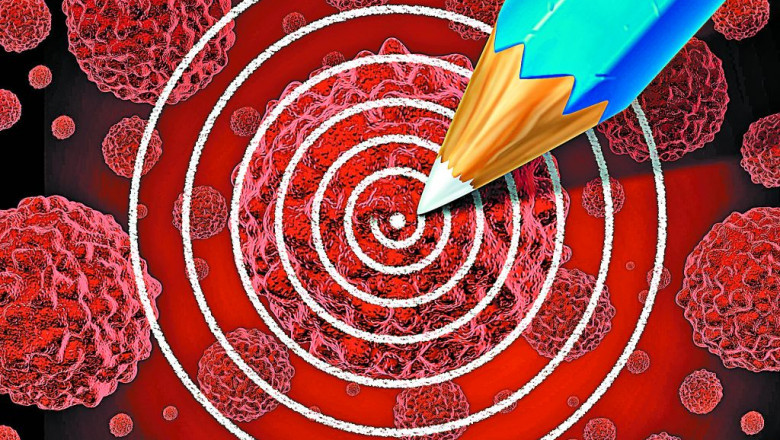Advancements in Targeted Cancer Therapies: Precision Medicine for Personalized Treatment