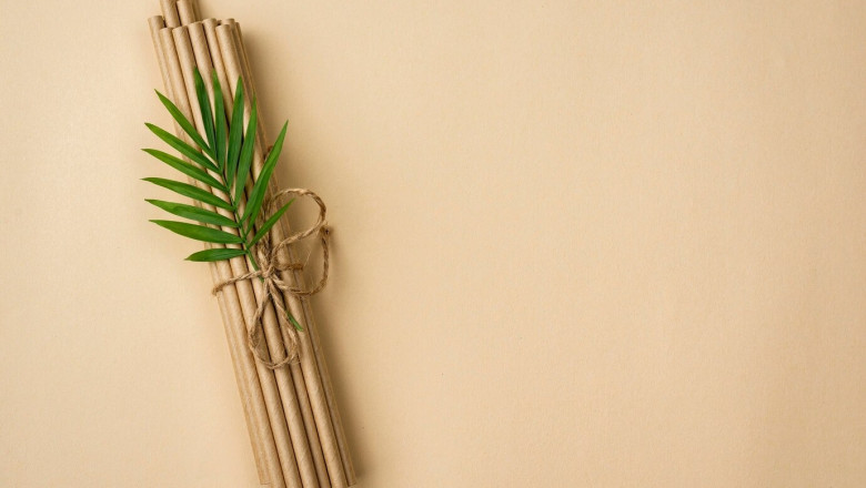 Dry Coconut Leaves Based Biodegradable Straw Manufacturing Plant Setup Report 2025: Raw Material Requirements and Infrastructure