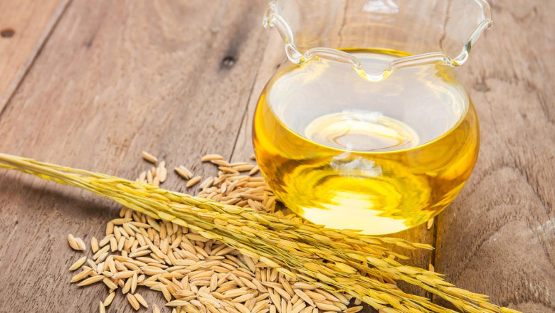 Rice Bran Oil Manufacturing Plant Cost 2025: Raw Materials Requirement and Unit Setup