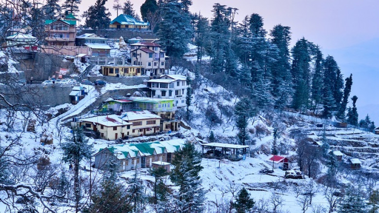 All You Need to Know About Shimla Temperature Year-Round