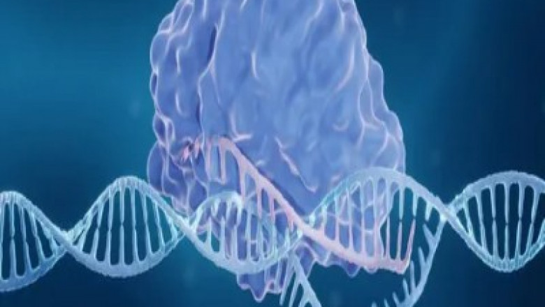 CRISpr And Cas Gene Market to Witness Growth Owing to Next-Gen CRISPR Platforms