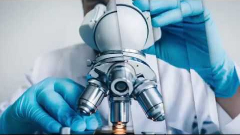 Bioassay Services Market Will Grow on Precision Medicine Demand