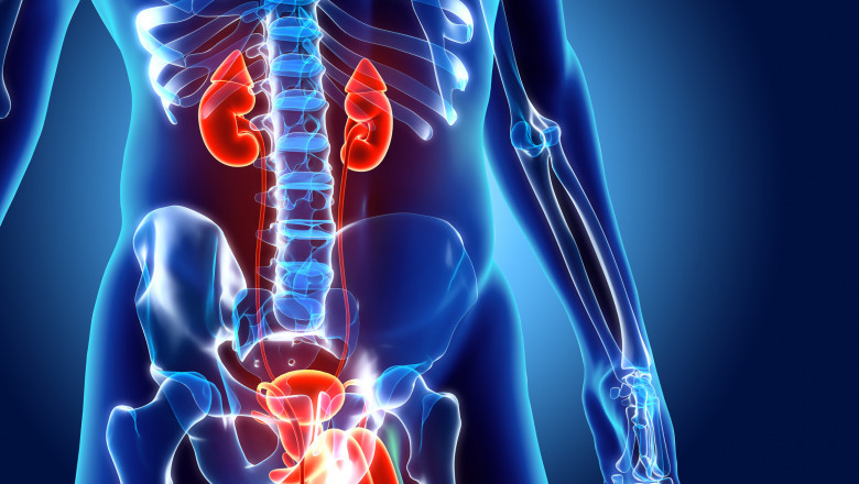 Lupus Nephritis Treatment Market Set to Expand on Next-Gen Therapy Opportunity