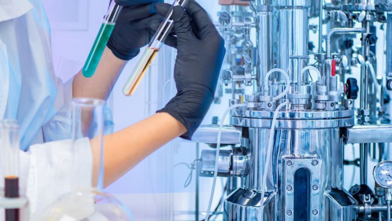 Precision Fermentation Ingredients Market to Soar on Alternative Protein Demand