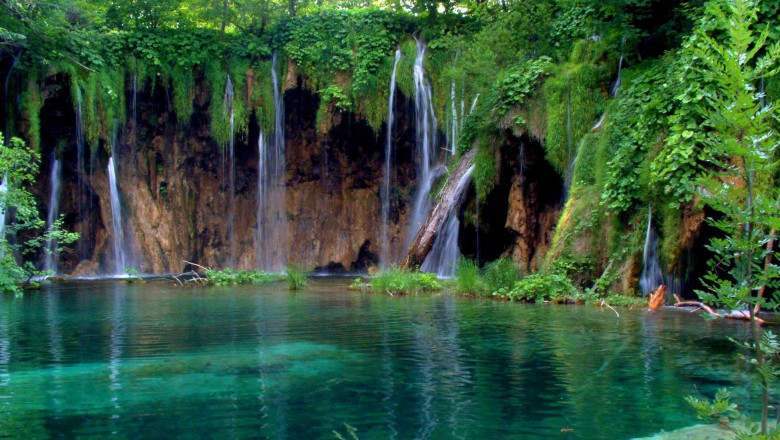 Discover the Timeless Charm of Ward's Lake in Shillong City