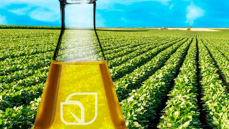 Brazil Biofuels Market to Grow Fast on Government Mandates