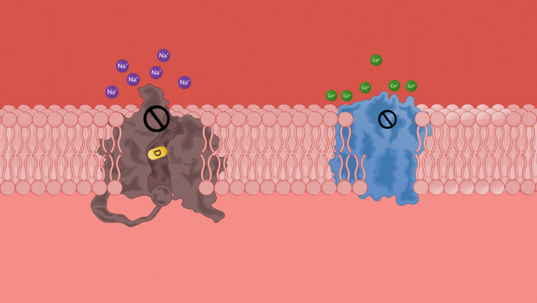 Global Sodium Channel Blockers Market will grow owing to targeted therapies