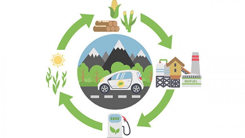 India Biofuels Market to grow fastest with supportive policies