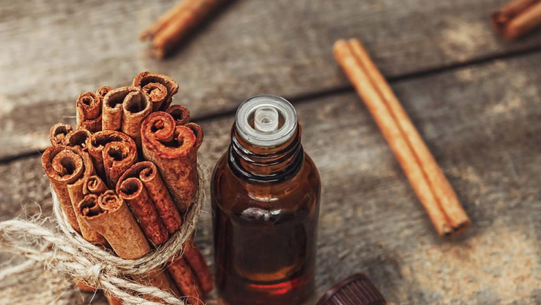 Cinnamon Bark Oil Market to Grow Rapidly on Aromatherapy Demand