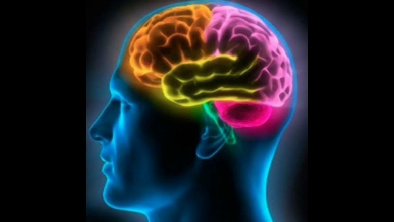 Cerebrospinal Fluid Management Market grows fastest with minimally invasive neurosurgery