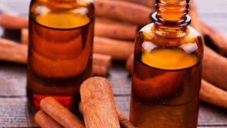 Cinnamon Bark Oil Market Growth Accelerates Due to Rising Natural Ingredient Demand in Food & Beverages