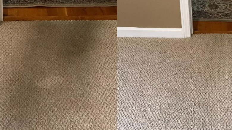 Carpet Cleaning Services in Southeastern Michigan – Because Clean Carpets Matter