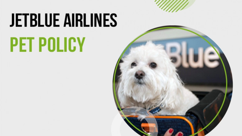 JetBlue Pet Policy - Travel With Your Pet Seamlessly