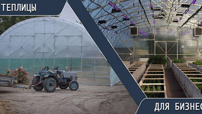 Complete Greenhouse Infrastructure for Optimal Growth