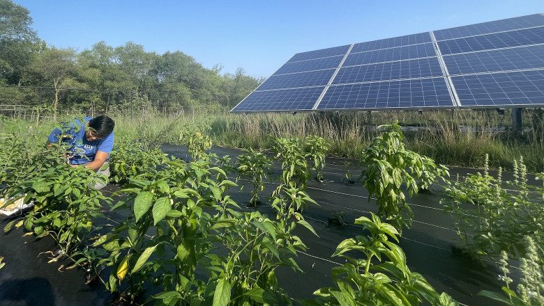 United States Agrivoltaics Market: Size, Trends & Opportunity