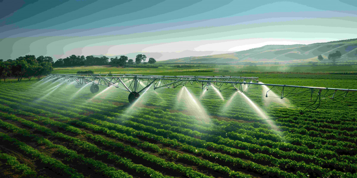 Top 5 Benefits of Smart Irrigation Systems for Melbourne Gardens