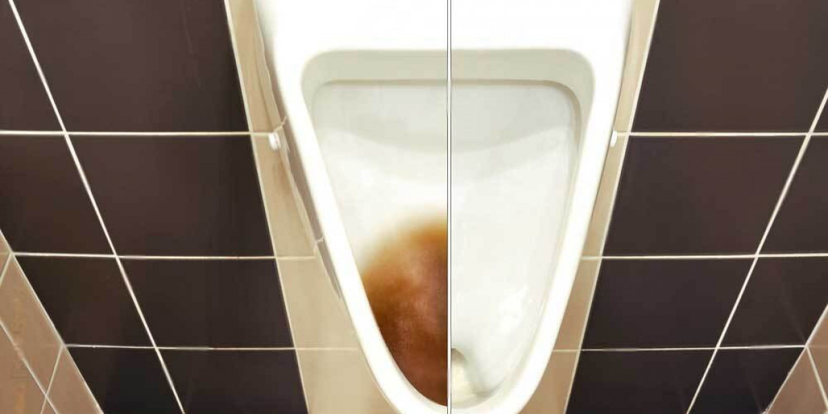 Can a Clogged Toilet Unclog Itself Find Out the Truth