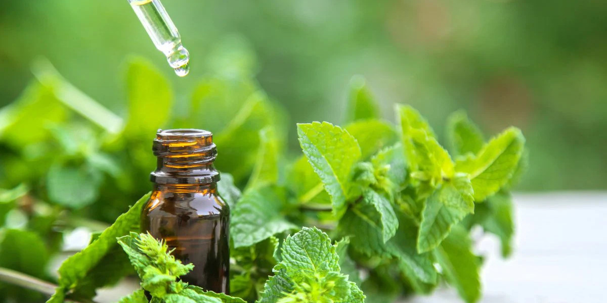 Peppermint Essential Oil: A Refreshing Boost for Body and Mind