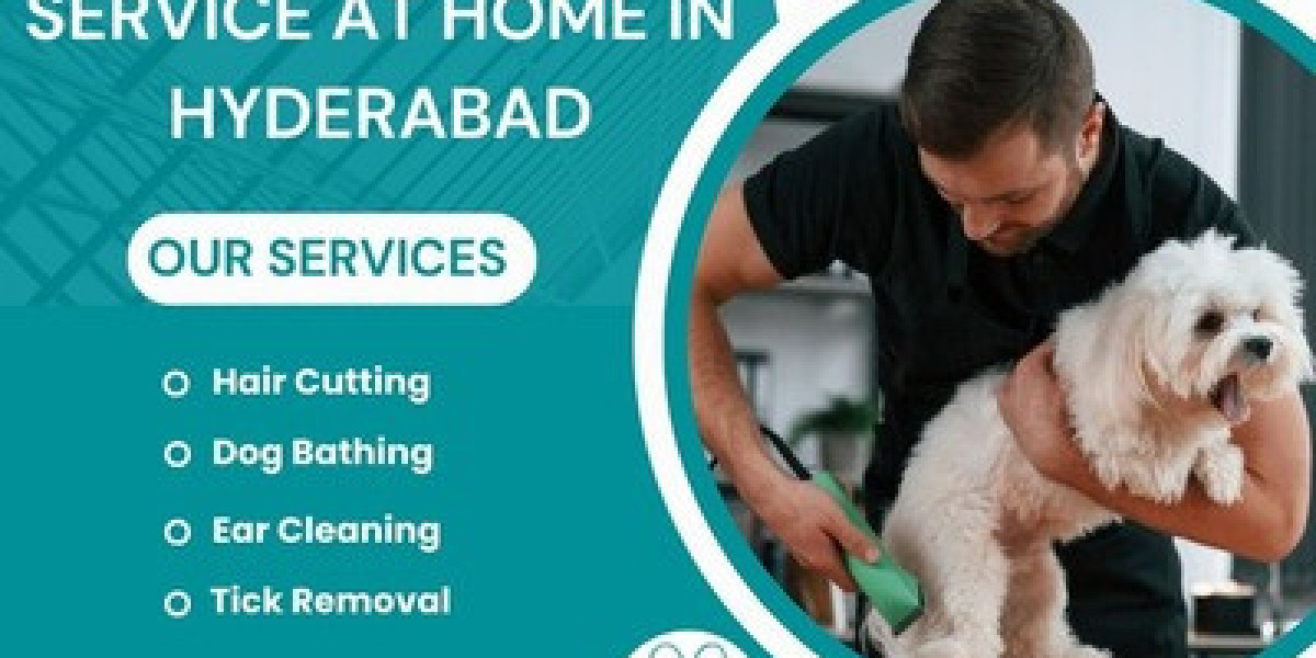 Best Pet Grooming Service at Home in Hyderabad