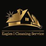 Eagles I Cleaning Service Profile Picture