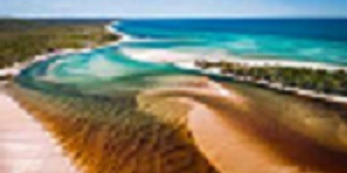 Explore Fraser Island’s Beach Houses, Tours, and 4WD Adventures with Drop Bear's K'gari Adventures