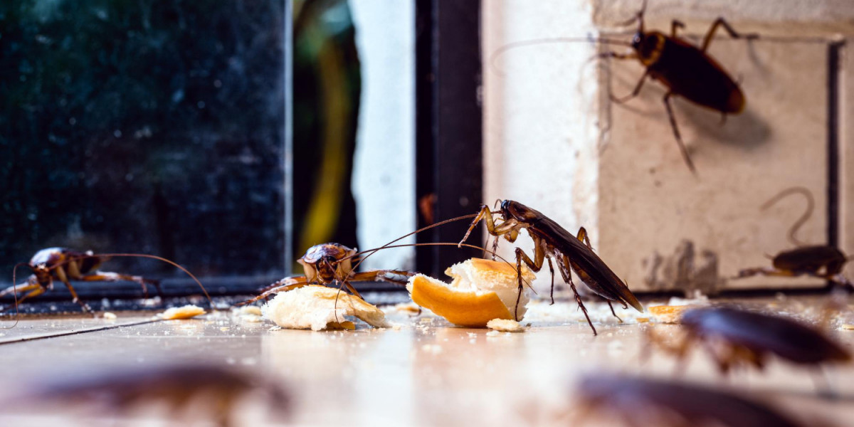 Types of Health Problems Caused by Cockroaches