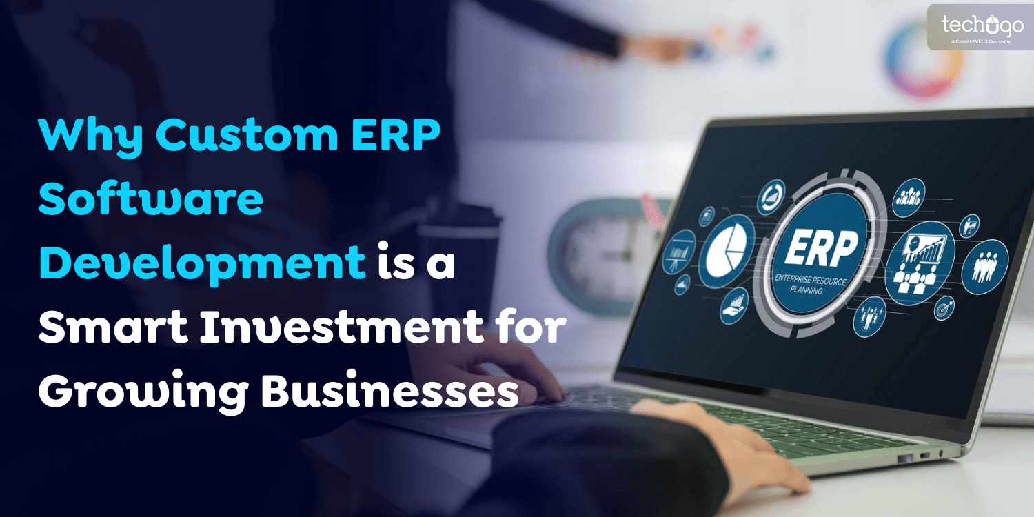 Why Custom ERP Software Is Key for Growing Businesses