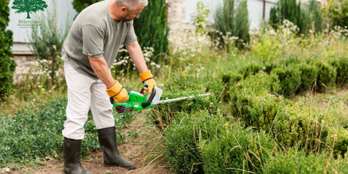 Your Guide to Getting the Best Lawn Care in Martha’s Vineyard